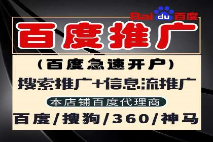 百度SEO优化公司案例详解：如何制定有效的推广计划